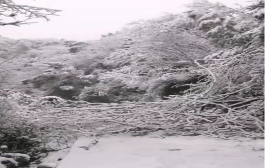 战暴雪、保供电！米兰体育app官网-米兰体育（中国）鸟儿巢公司应对极端天气紧急抢修失电故障